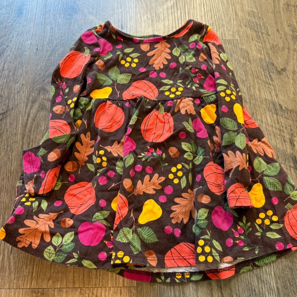 🍂 Children’s Place Fall Harvest Dress – Size 2T
